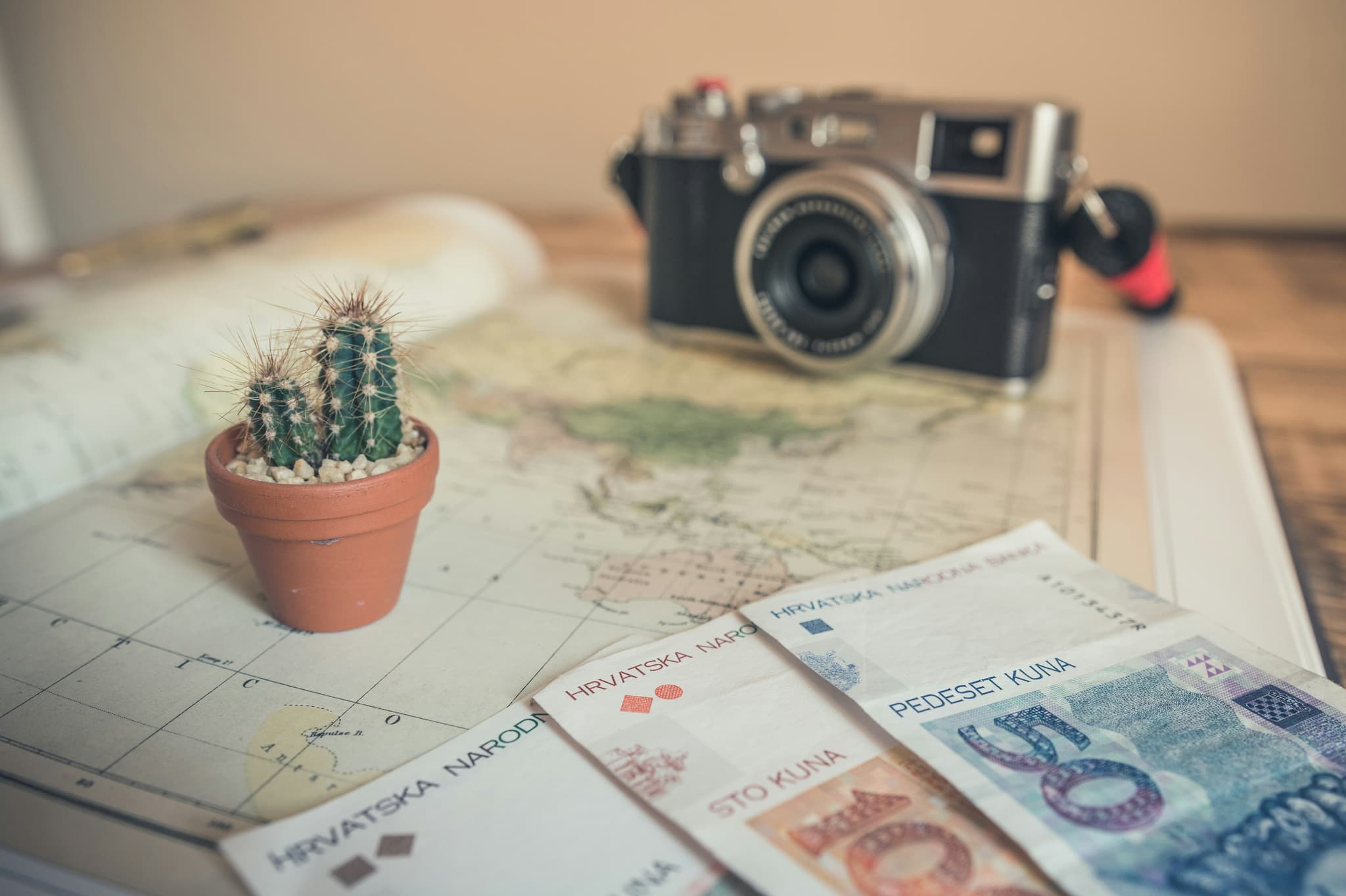 Selective focus photography of cactus plant and note on table for travel agency commission rates and margins